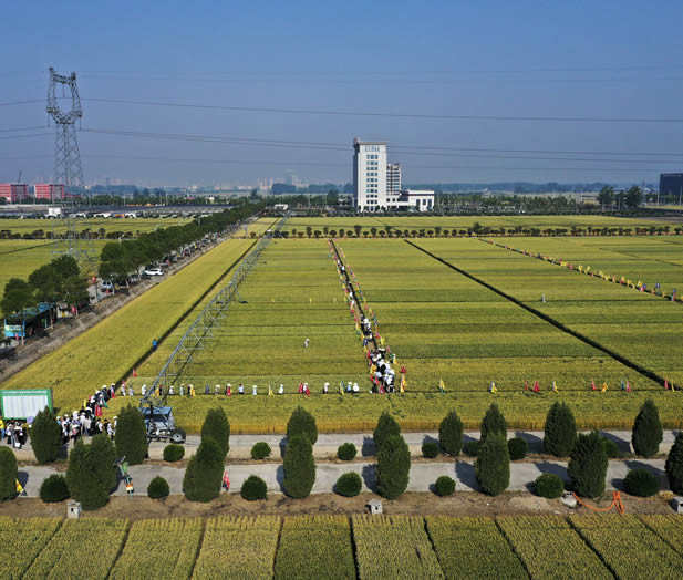 改DJI_0216.JPG